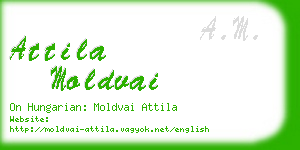 attila moldvai business card